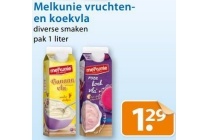 melkunie vruchten en koekvla