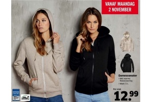 damessweater