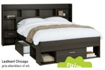 ledikant chicago