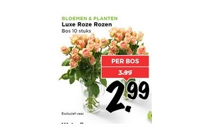 luxe rozen en bloemen