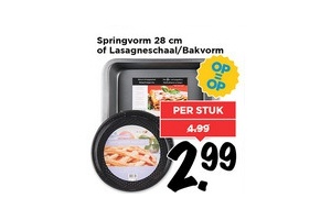springvorm 28 cm of lasagneschaal bakvorm