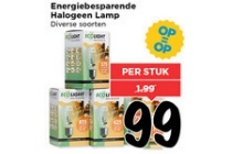 energiebesparende halogeenlamp