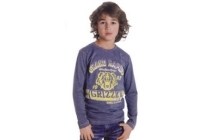 t shirt grizzly