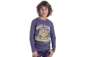 t shirt grizzly