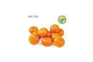 clementine mandarijnen