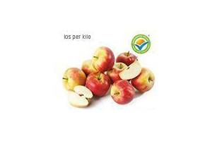 elstar golden delicious of goudreinet appelen