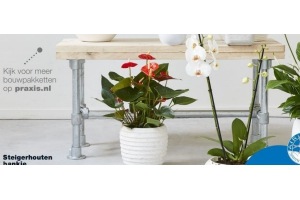 steigerhouten bankje