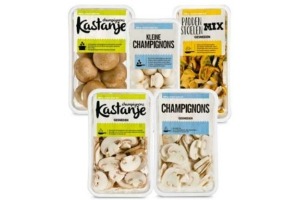 luxe champignons