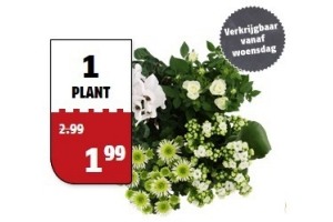 witte planten