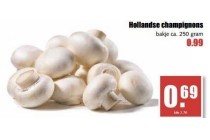 hollandse champignons