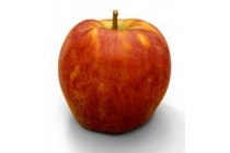 rubens appels