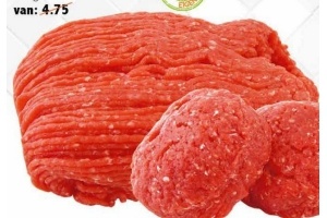 rundertartaar of tartaartjes