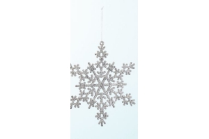 sneewster hanger