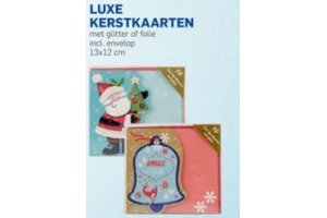 luxe kerstkaarten set van 10