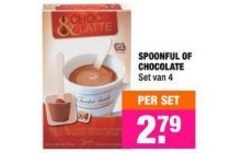 spoonful of chocolate