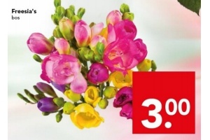 freesia s