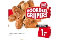 mini rozijnenpunten