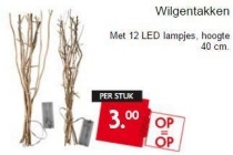 wilgentakken met led lampjes