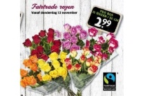 fairtrade rozen