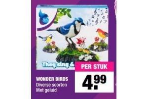 wonder birds