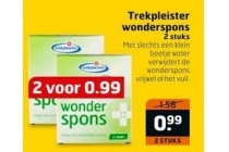 trekpleister wonderspons