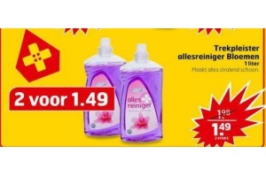 trekpleister allesreiniger