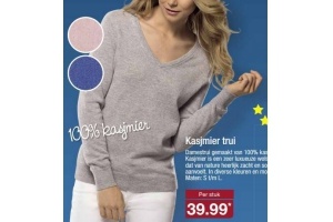 kasjmier trui
