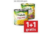 bonduelle groenteconserven