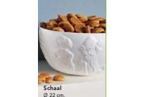 schaal