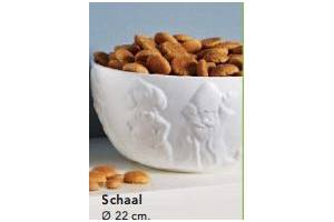 schaal