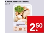 koolen paddestoelenmix