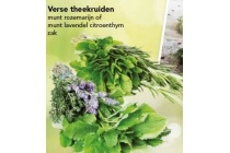 verse theekruiden