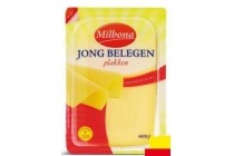 gouda jong belegen plakken