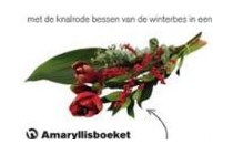 amaryllisboeket met winterbes