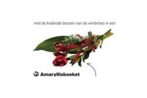 amaryllisboeket met winterbes
