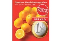 spaanse handsinaasappelen