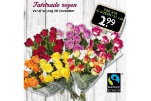 fairtrade rozen