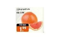 rode grapefruits