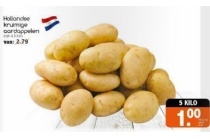 hollandse kruimige aardappelen