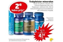 trekpleister mineralen