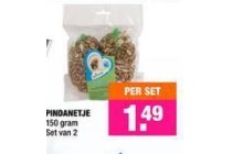 pindanetje
