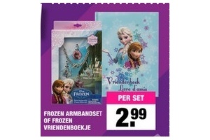 frozen armbandset of vriendenboekje