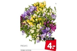 fresia s