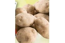 grove losse aardappelen