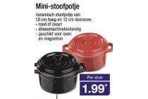 mini stoofpotje