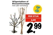 wilgentakken of bloesemboompje