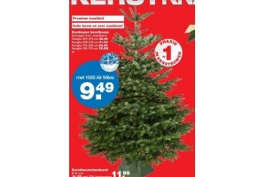 nordmann kerstboom