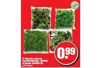 rucola naturel rucolamelange veldsla of jonge bladsla