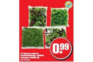 rucola naturel rucolamelange veldsla of jonge bladsla