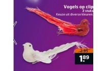 vogels op clip